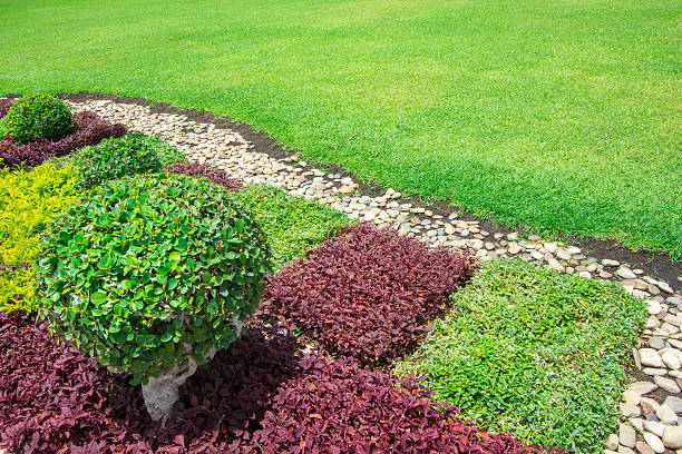 istock decorate in the garden 504705783