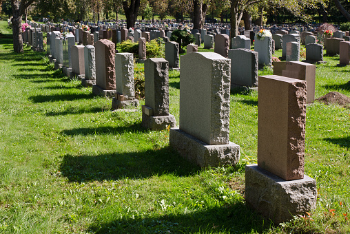 horizontal image of a group of newly made headstones sitting in front of a brown fence in the summer time.