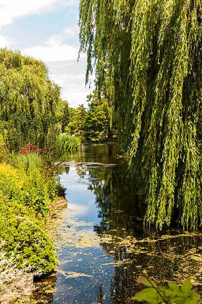 istock Regent's Park - London 504707189