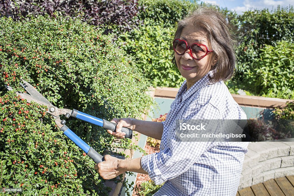 La jardinería - Foto de stock de 60-64 años libre de derechos