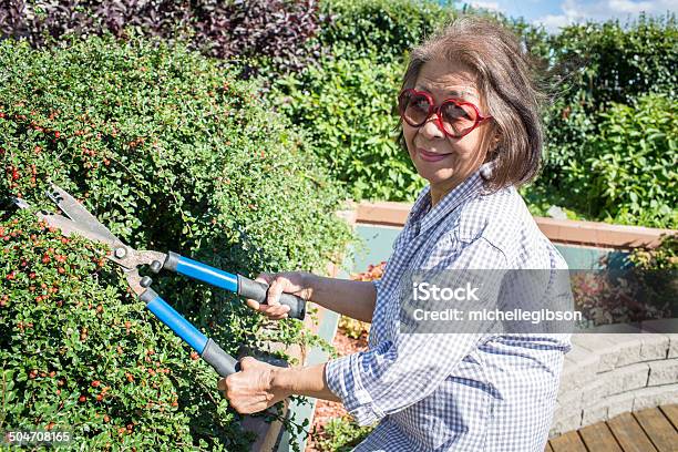 Photo libre de droit de Jardiner banque d'images et plus d'images libres de droit de 60-64 ans - 60-64 ans, 65-69 ans, Activité de loisirs