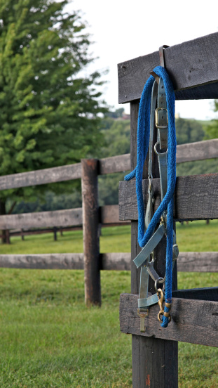 A blue halter and lead rope hang on a beautiful ranch fence.