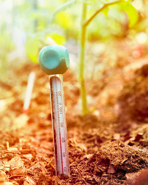 istock Garden Thermometer in Soil 504708413