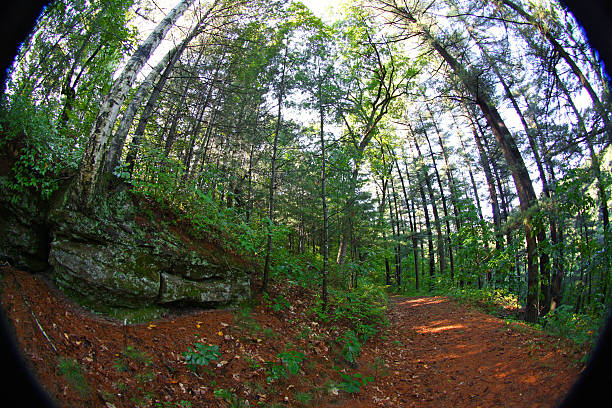 This fisheye image gives us a unique look at woods, rock outcroppings and sky.
