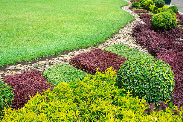 istock decorate in the garden 504709227