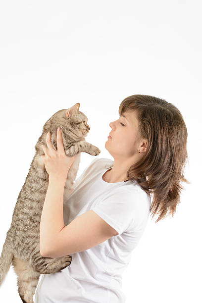 istock Young woman and a British cat 504709662