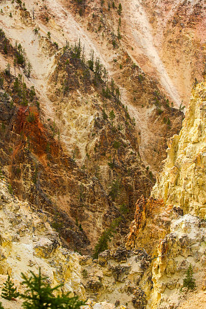 un ravin d'or et d'ambre falaises de rivière yellowstone. - eroded water grand canyon of yellowstone river river photos et images de collection