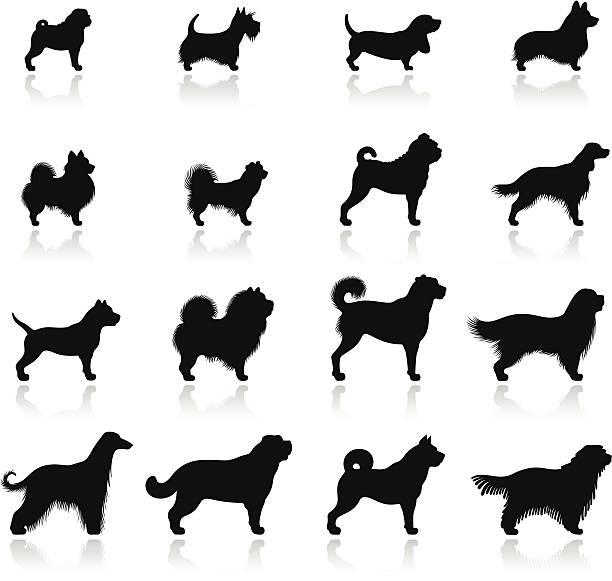 Dogs Icon Set High Resolution JPG,CS6 AI and Illustrator EPS 10 included. Each element is grouped and layered separately. Very easy to edit.  kangal dog stock illustrations