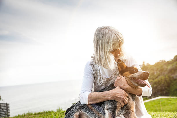 istock Senior woman with a dog 504711574