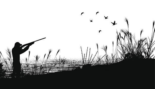 Duck Hunting Background Graphic silhouette background illustration of a Duck Hunter. Check out my "Flaming Sports Balls and More" light box. hunting sport stock illustrations