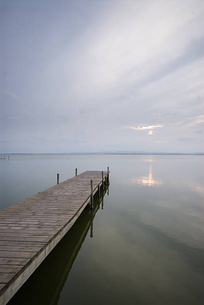 istock The Albufera Natural Park 504739613