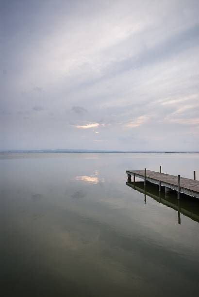 istock The Albufera Natural Park 504739615