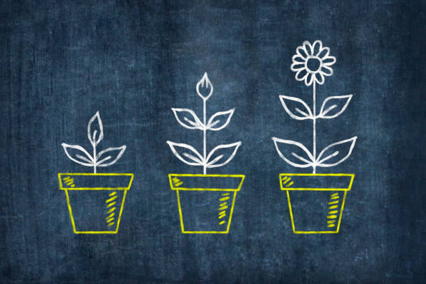 istock Growing Flowers on Blackboard 504742744