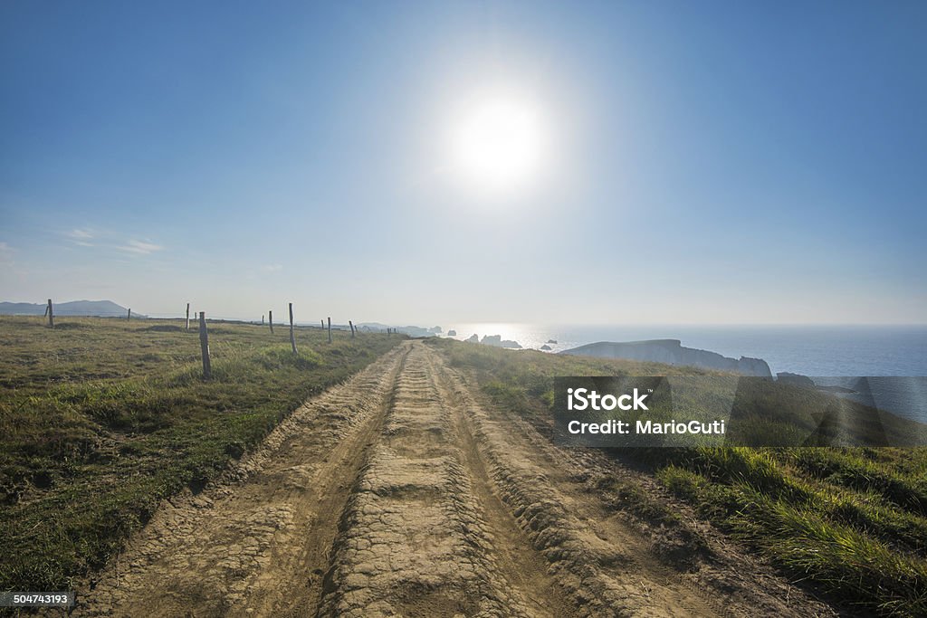 Road at summer A countryside road at summer Agricultural Field Stock Photo