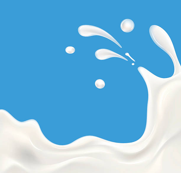 milk splash vektor-illustration - dairy farm liquid food and drink splashing stock-grafiken, -clipart, -cartoons und -symbole