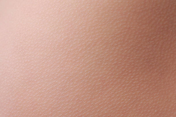 istock Close up view of a human skin 504747622