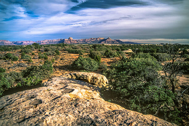 Little Creek Mesa Bureau of Land Management land near Hurricane, Utah and south of Zion National Park. American Southwest. chinle formation stock pictures, royalty-free photos & images