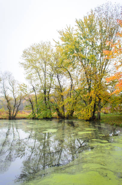 istock Monocacy National Battlefield 504751004