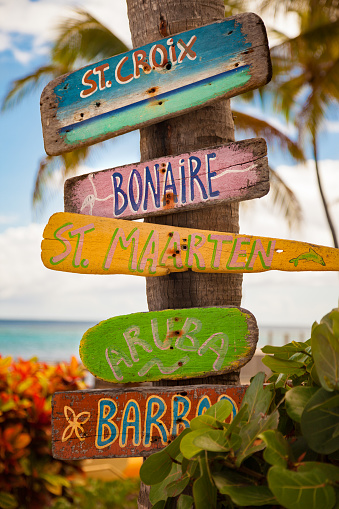 pieces of driftwood with hand painted names of Caribbean islands attached to a palm tree in St.Croix, US Virgin Islands