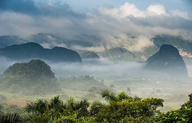 istock Peaceful view of Vinales valley at sunrise. 504752434
