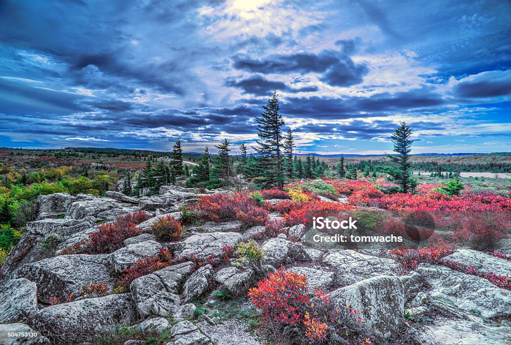 Dolly Sods, WV Fall at Dolly Sods, WV West Virginia - US State Stock Photo