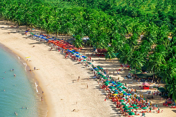 istock Maceio beach, northeast Brazil 504758056