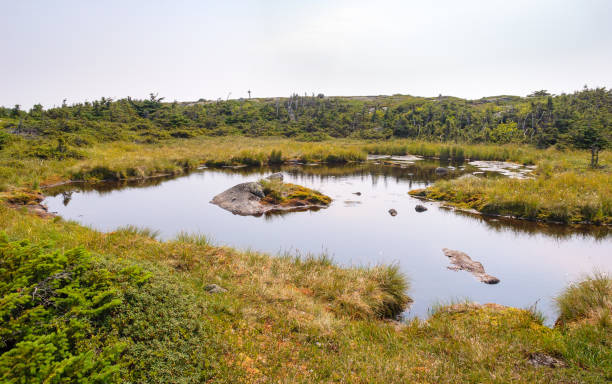 monte saddleback - saddleback mountain - fotografias e filmes do acervo