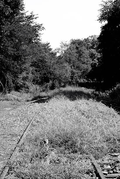 istock Abandoned railway tracks are overgrown and barely visible 504758726