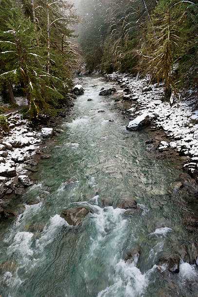 fiume nooksack - north cascades national park cascade range river waterfall foto e immagini stock