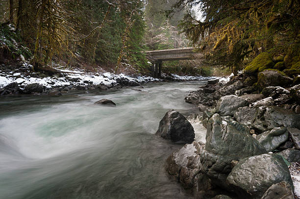 rivière nooksack - north cascades national park cascade range mt baker waterfall photos et images de collection