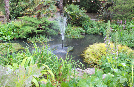 Photo showing a beautiful landscaped garden pond, with koi carp, goldfish, shubunkins and a large fountain in the centre, which is both attractive and helps to provide additional aeration to the water, with its splashing.