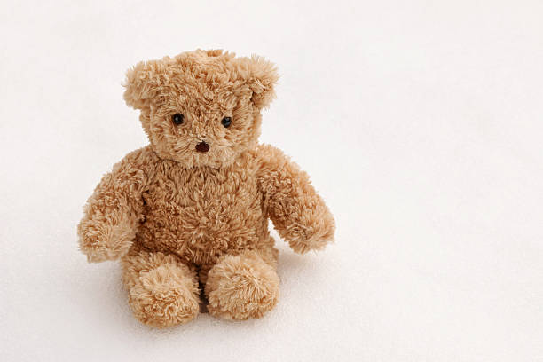 istock Cute brown bear sitting alone on the snow 504783036