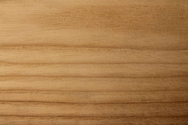 istock Element of wood wallpaper. 504783238