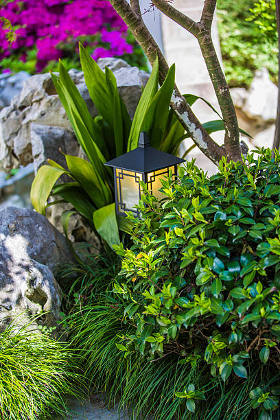 istock Chinese garden landscape 504785460