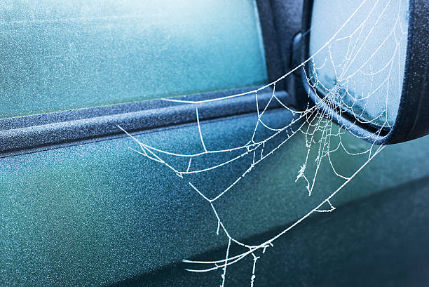 frozen spider web on side view mirror of a car