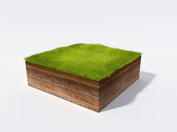 istock Cross section of little island 504786398