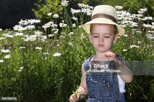 Boy With A Flower Stock Photo - Download Image Now - Activity, Agricultural Field, Agriculture