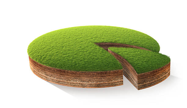 istock Cross section of little island 504787570