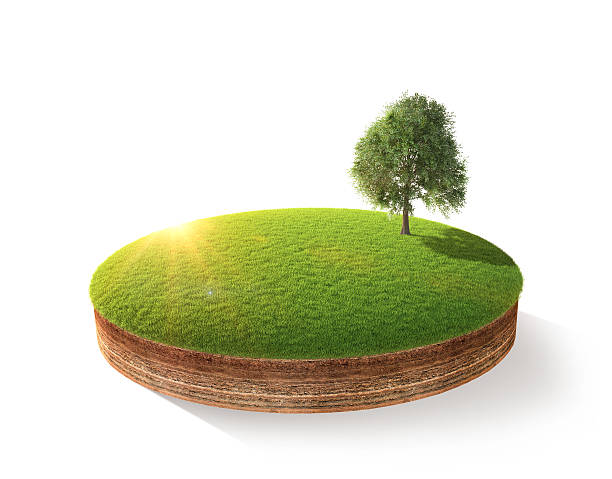 istock Cross section of little island 504787688