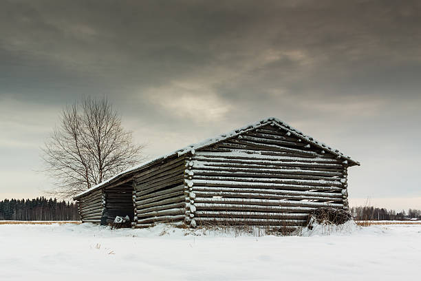 due parte barn house - winter finland agriculture barn foto e immagini stock