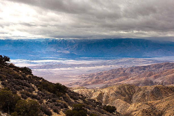 Joshua Tree National Park