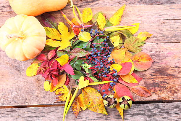 istock Autumn still-life with wild grape, leaves and more 504788545