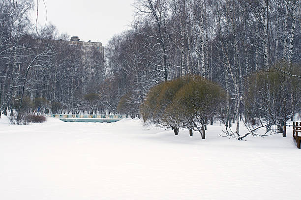 istock View to footbridge from the frozen river 504788682