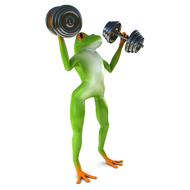 istock Tropical sport frog 504790038