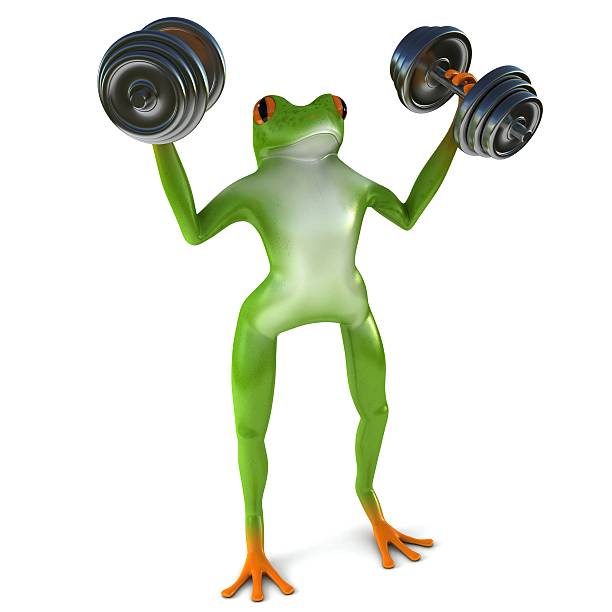 istock Tropical sport frog 504790066