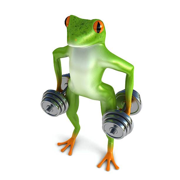 istock Tropical sport frog 504790084