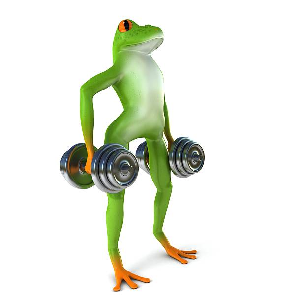 istock Tropical sport frog 504790116