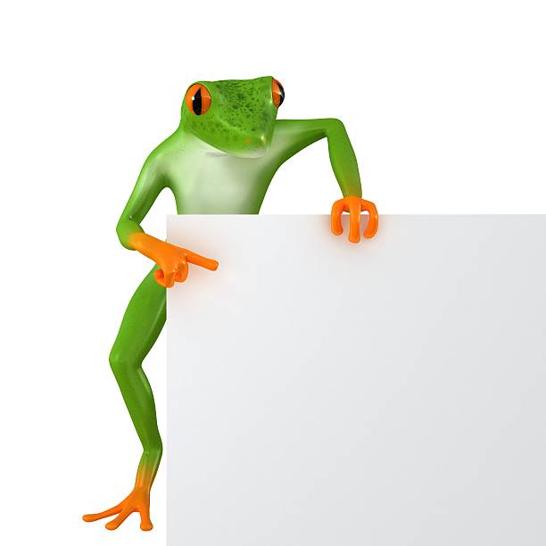 istock Tropical business frog 504790684
