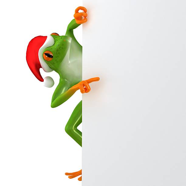Tropical Christmas frog features a blank template, isolated on white background