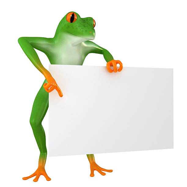 istock Tropical business frog 504790884